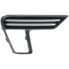 Picture of Fog Light Cover