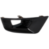 Picture of Fog Light Trim