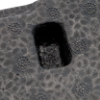 Picture of Bumper Absorber