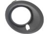 Picture of Fog Light Trim
