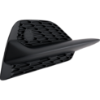 Picture of Fog Light Cover