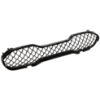 Picture of Bumper Grille