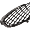 Picture of Bumper Grille