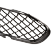 Picture of Bumper Grille