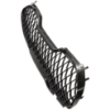 Picture of Bumper Grille