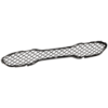 Picture of Bumper Grille