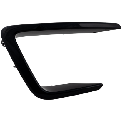 Picture of Grille Trim