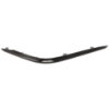 Picture of Bumper Trim