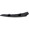 Picture of Headlight Trim