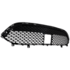Picture of Bumper Grille