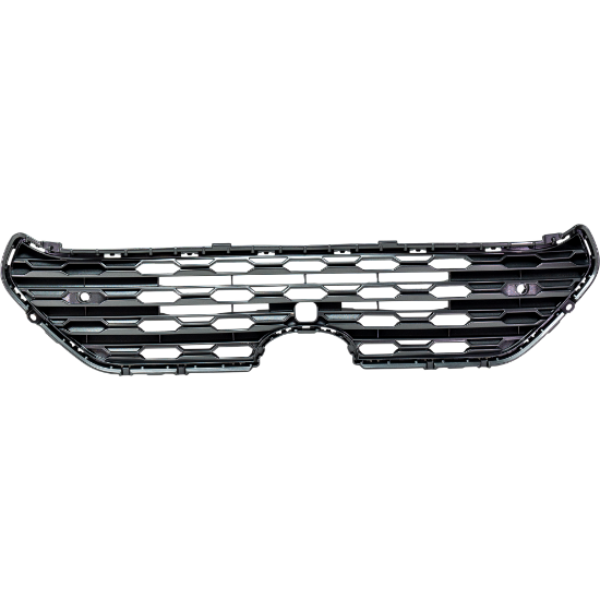 Picture of Grille Assembly