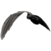 Picture of Fender Liner