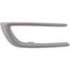Picture of Bumper Trim