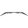 Picture of Grille Trim
