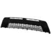 Picture of Bumper Grille