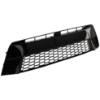 Picture of Bumper Grille