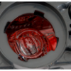 Picture of Tail Light