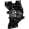 Picture of Fog Light
