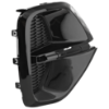 Picture of Fog Light Cover