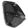 Picture of Fog Light Cover