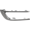 Picture of Bumper Trim
