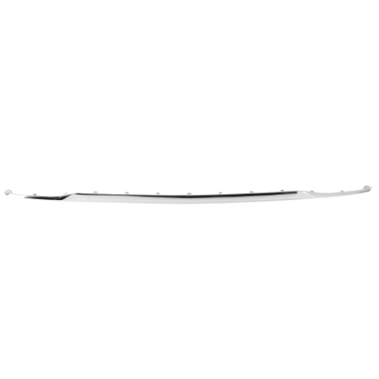 Picture of Bumper Trim