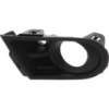 Picture of Fog Light Trim