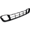 Picture of Bumper Grille