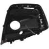Picture of Fog Light Trim