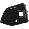 Picture of Fog Light Trim
