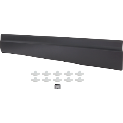 Picture of Door Molding and Beltlines