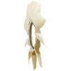 Picture of Fan Blade