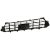 Picture of Bumper Grille