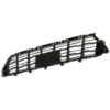 Picture of Bumper Grille