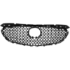 Picture of Grille Assembly