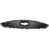 Picture of Grille Assembly