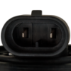 Picture of Fog Light