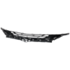 Picture of Grille Assembly