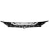 Picture of Grille Assembly
