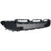 Picture of Bumper Grille
