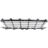 Picture of Bumper Grille