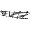Picture of Bumper Grille