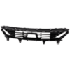Picture of Bumper Grille