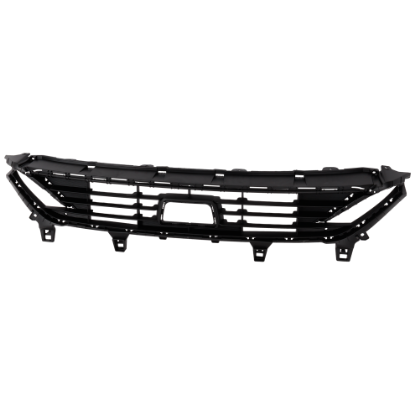 Picture of Bumper Grille