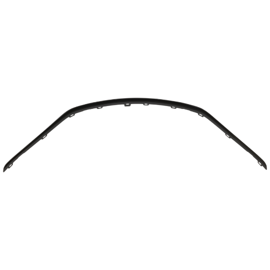 Picture of Grille Trim
