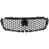 Picture of Grille Assembly