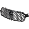 Picture of Grille Assembly