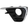 Picture of Fog Light Trim