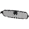 Picture of Grille Assembly