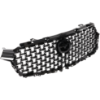 Picture of Grille Assembly